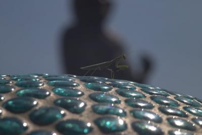 Прикрепленное изображение: IMG_2862.jpg